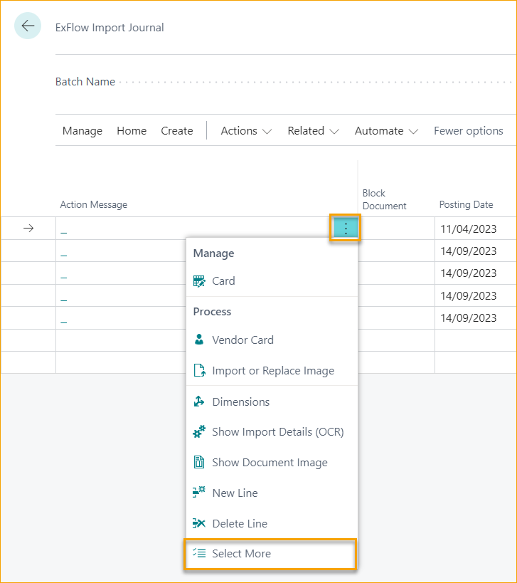 ExFlow Import Journal - Select More